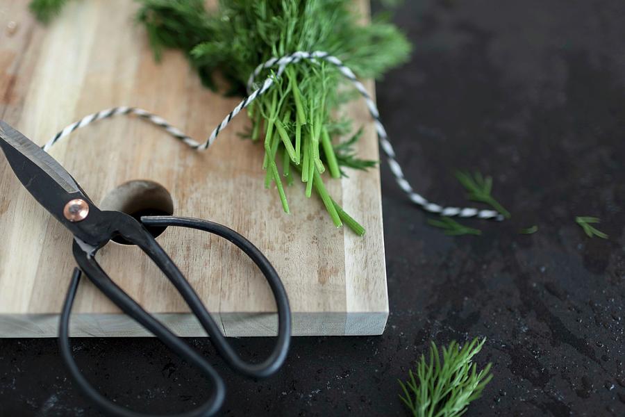 Kitchen Scissors And Twine With Dill On A Chopping Board Photograph by Jalag / Angelika Lorenzen
