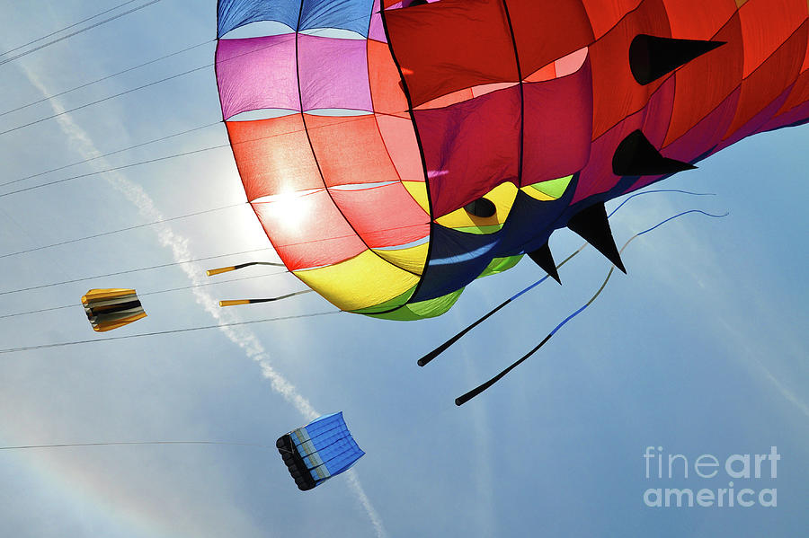 Kite Dreams Photograph by Randall Dill