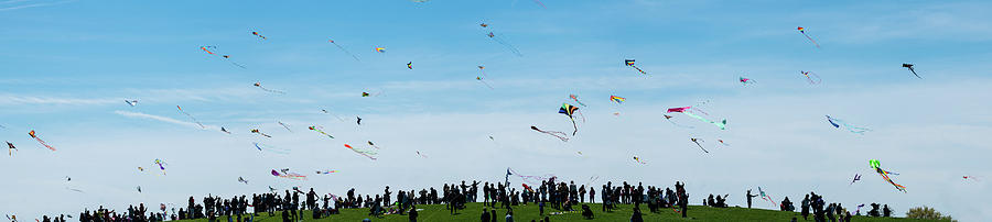 Kite Fest Panorama Photograph