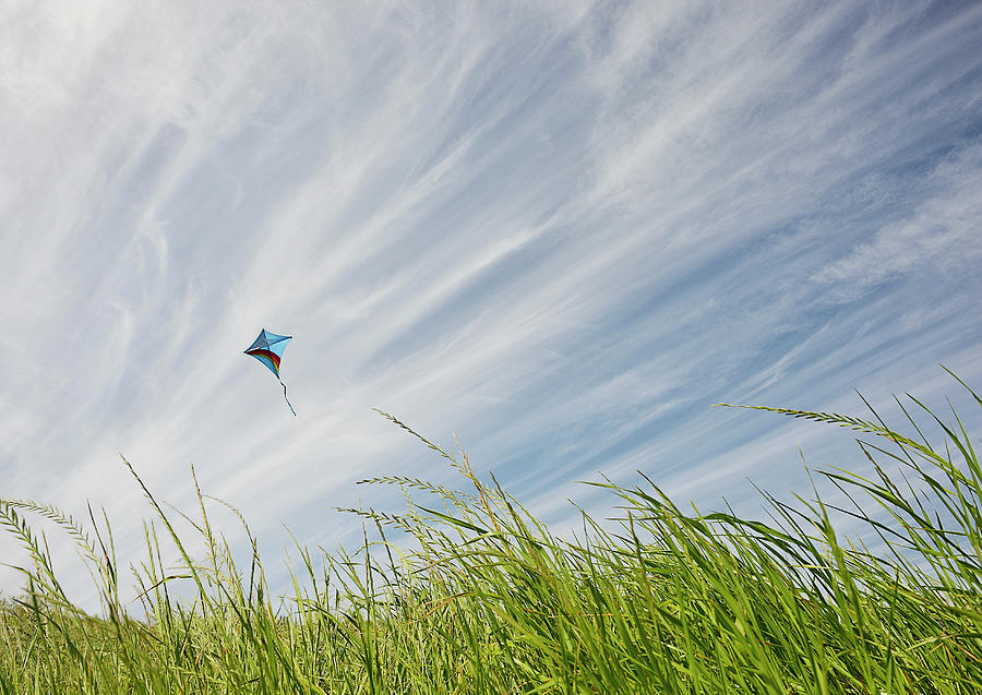 Kite Flying Above Windswept Glass Photograph by David Malan