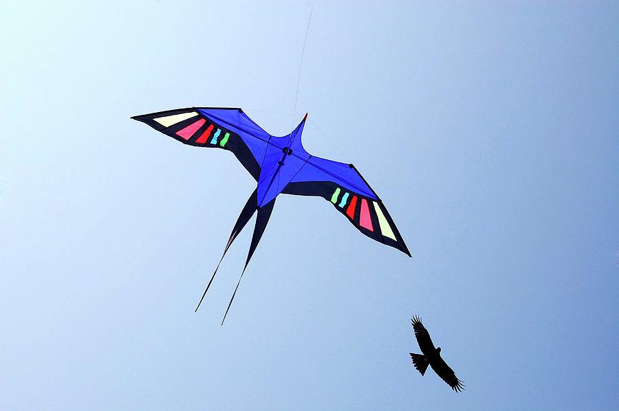Toy Photograph - Kite Flying In Sky by Anand Purohit