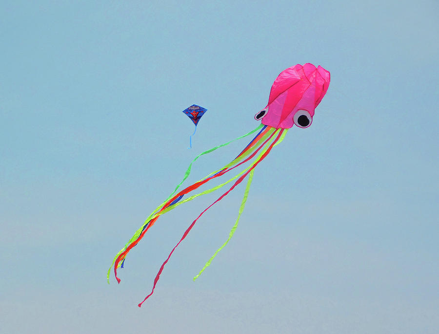 Kites Flying High At Cherry Blossom Festival Dc Photograph