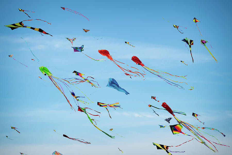 Chicago Photograph - Kites Kites Kites by Steve Gadomski