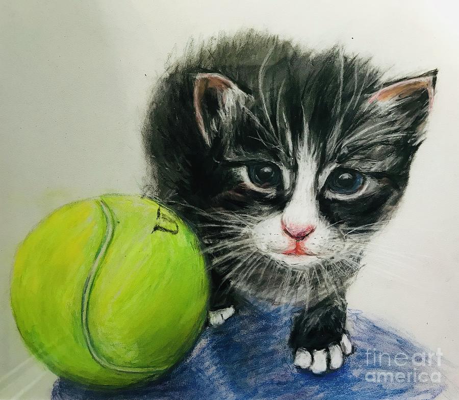 Kitten and Tennis Ball Drawing by Lavender Liu