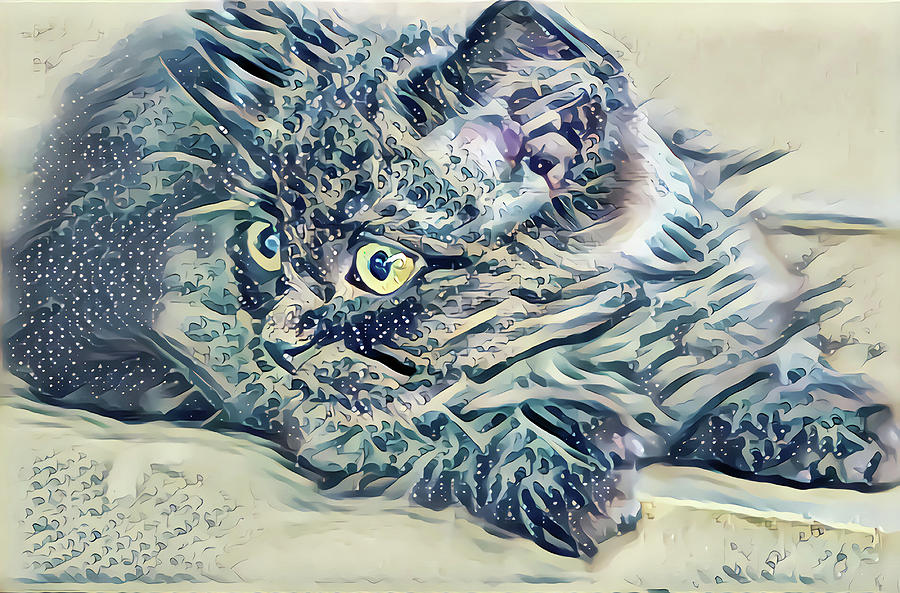 Kitten Great Eyes Digital Art by Don Northup