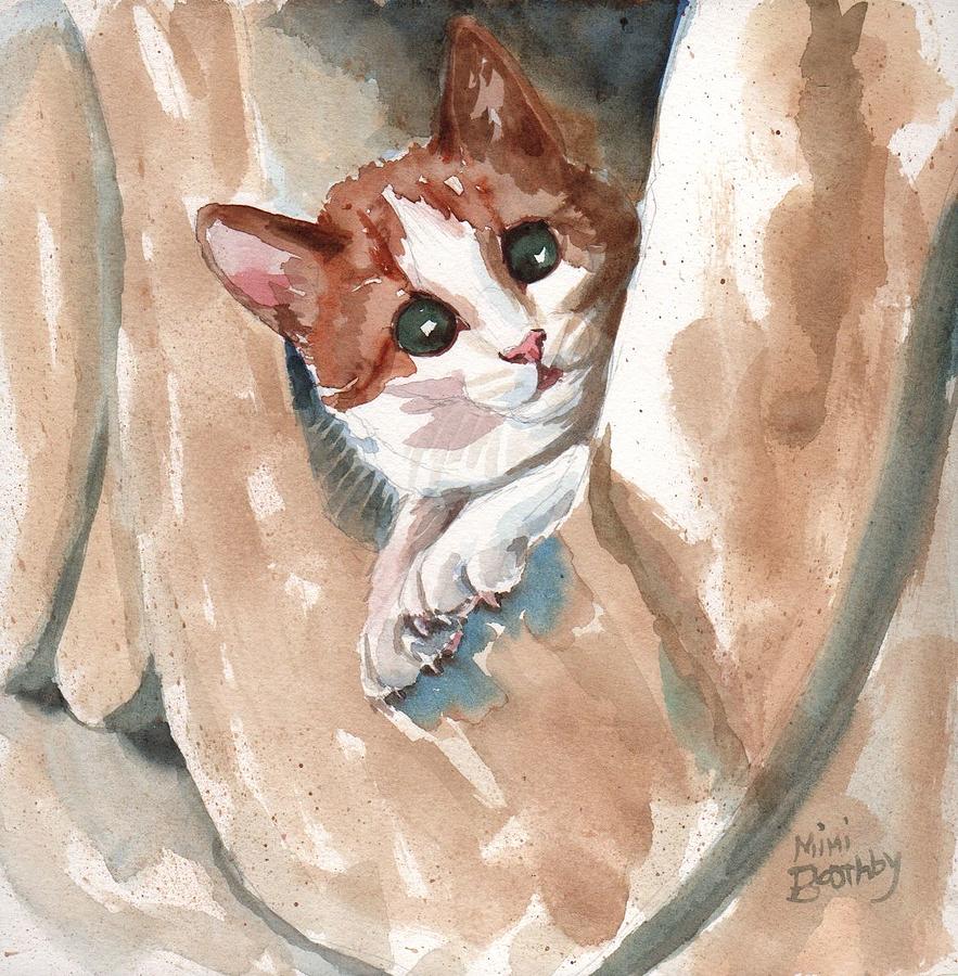 kitten by Mimi Boothby kitten by Mimi Boothby