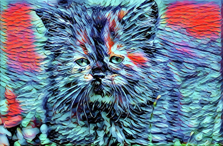 Kitten with the Blues Digital Art by Don Northup