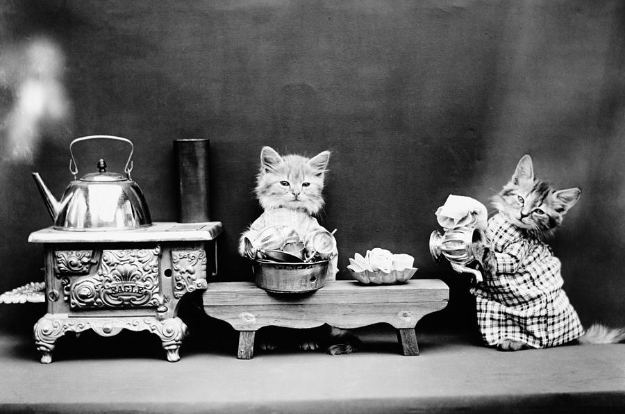 Kittens Washing Dishes - Harry Whittier Frees - 1914 Photograph by War Is Hell Store