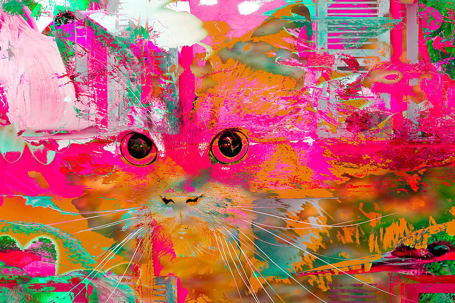 Kitty Collage Pink Digital Art by Don Northup