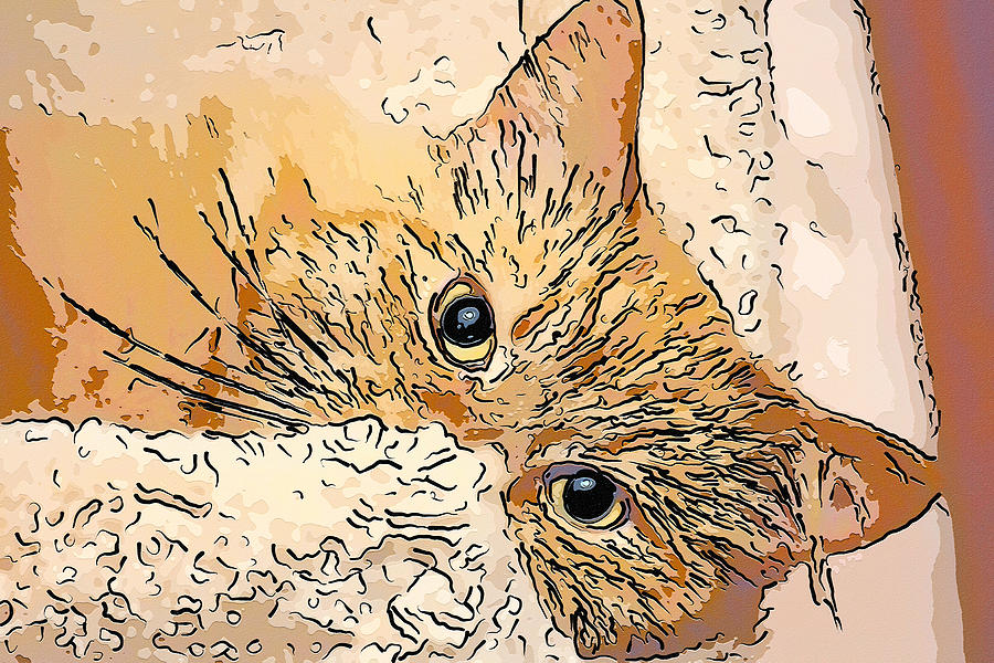 Kitty Peeking Digital Art by Don Northup