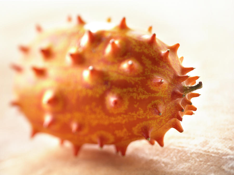 Kiwano Jelly Melon Photograph by Studio Photocuisine Fine Art America