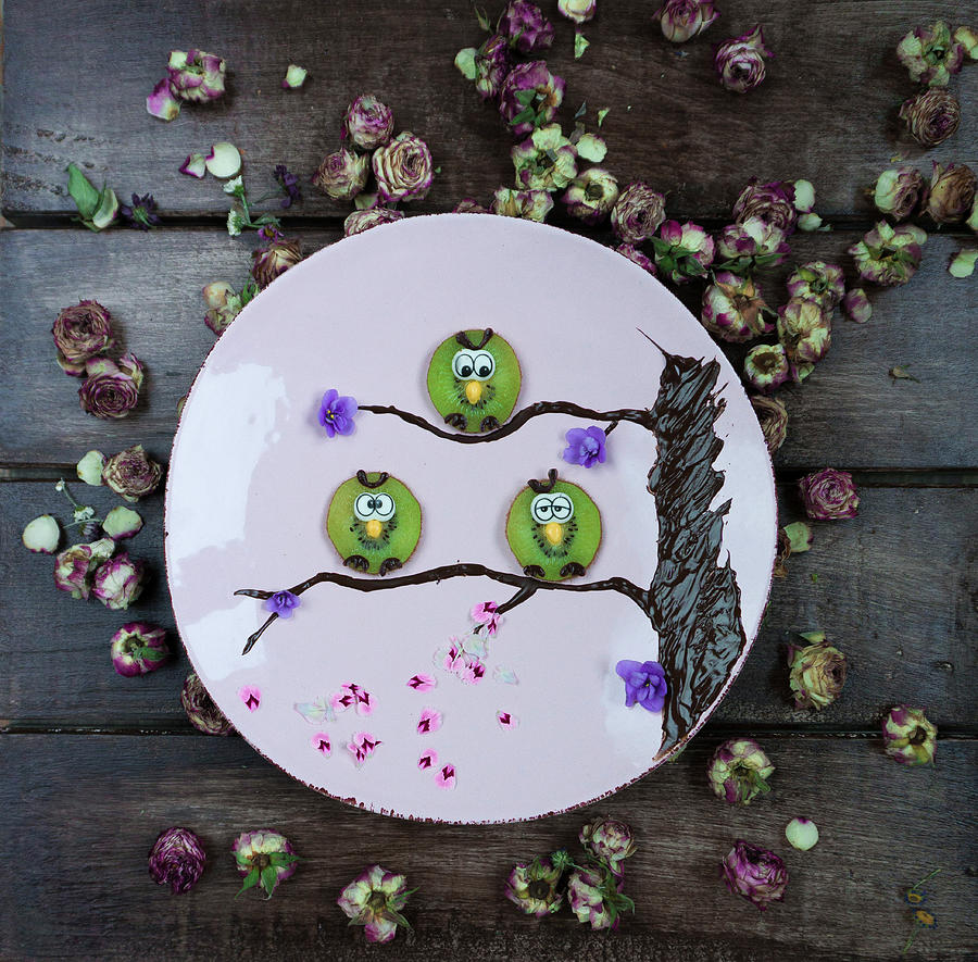 Kiwi Owls Decorated With Fondant Photograph by Elena Ecimovic