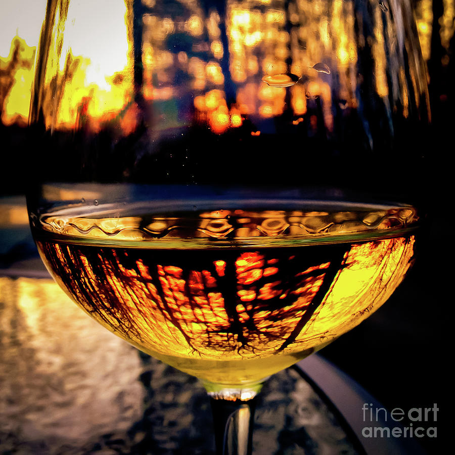 Sunset in a glass Photograph by Atousa Raissyan
