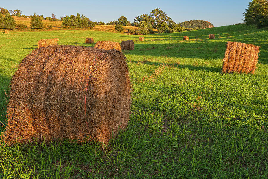 Knapps View Hay Bales Photograph by Angelo Marcialis