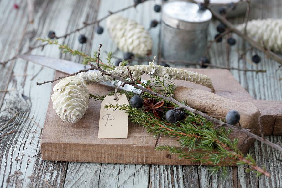 Knife, Pine Cones Dipped In Wax, Twigs Of Sloes And Sprig Of Juniper On Bread Board Photograph by Martina Schindler