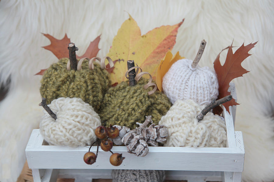 Knitted Pumpkin Decorations And Autumn Leaves Photograph by Sonja Zelano
