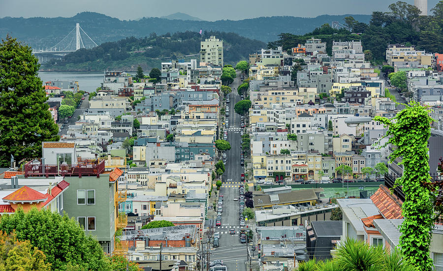 Knob Hill of San Francisco, A View From the Top Photograph by Marcy Wielfaert