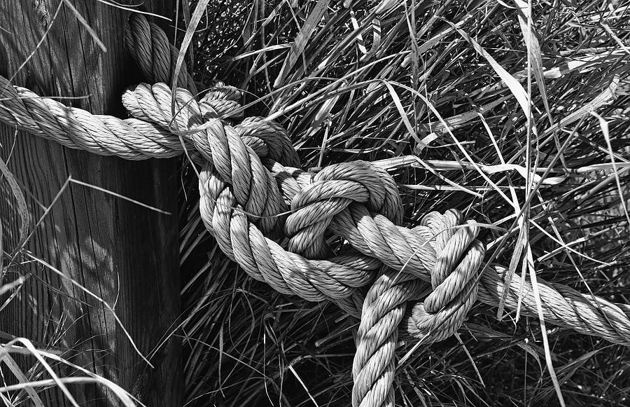 Knot In The Grass Photograph by Jeff Townsend