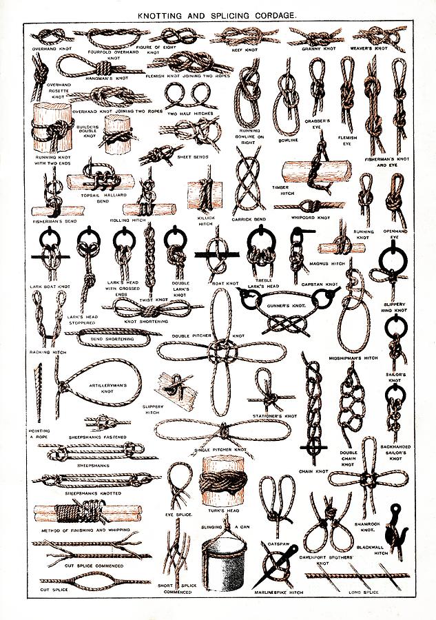 Knots Photograph by Science Photo Library