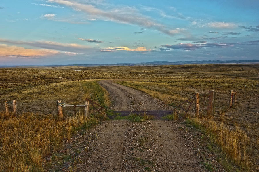 Landscape Photograph - Knowing Which Cattle Guard To Cross by Amanda Smith