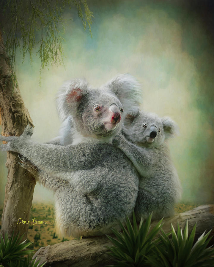 Koala Love Painting By Dawn Gemme