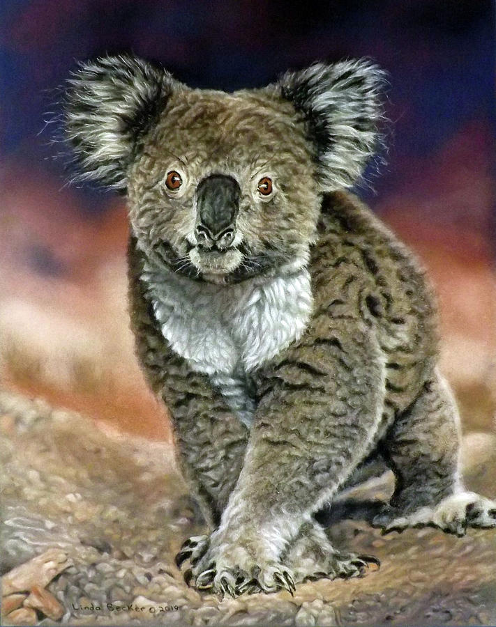 Koala Walk Painting by Linda Becker