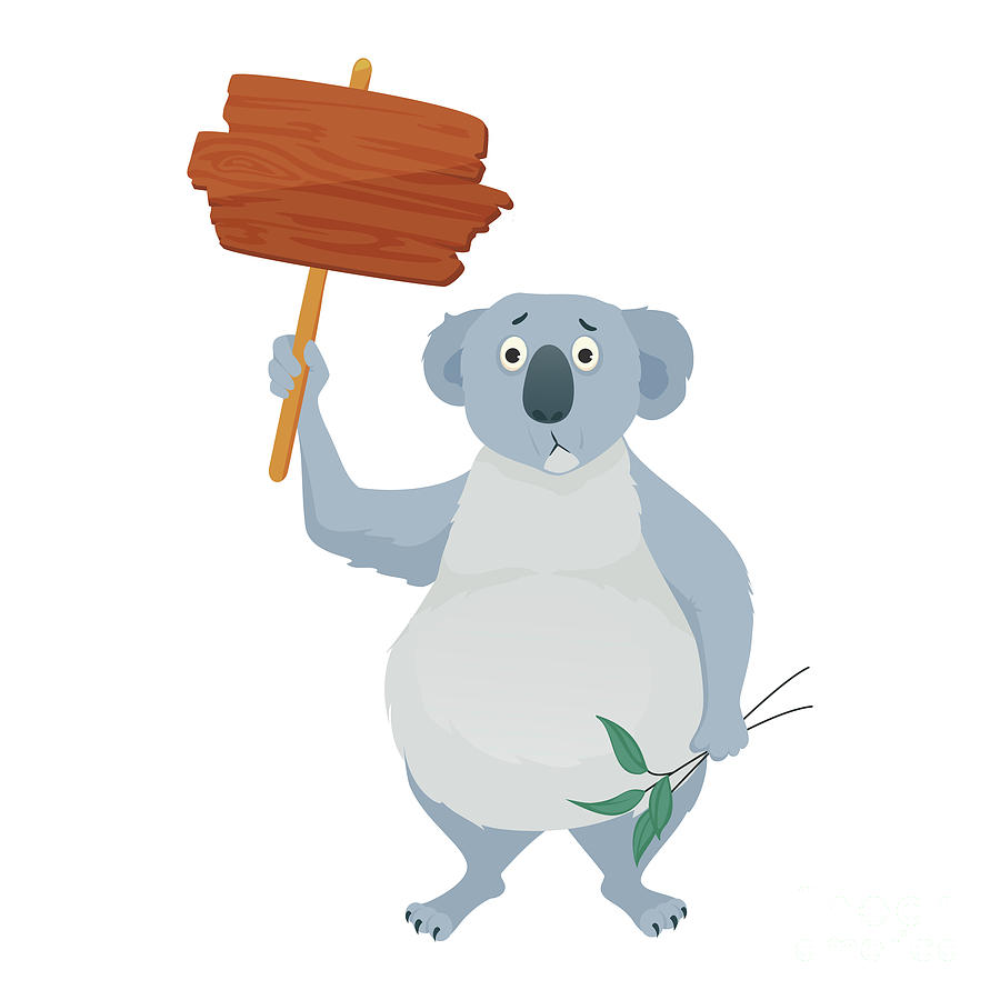 Koala With Placard Photograph by Science Photo Library