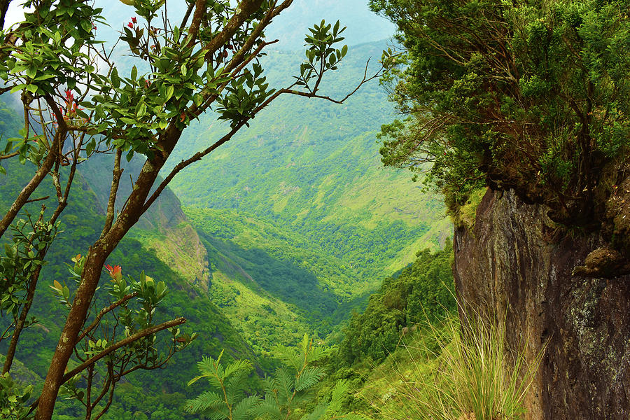 Kodaikanal Hills View Photograph by Vinothkumar Rajendran - Pixels