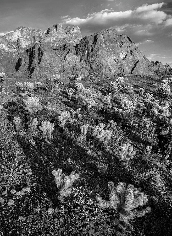 Kofa Mountains, Arizona Photograph by Tim Fitzharris