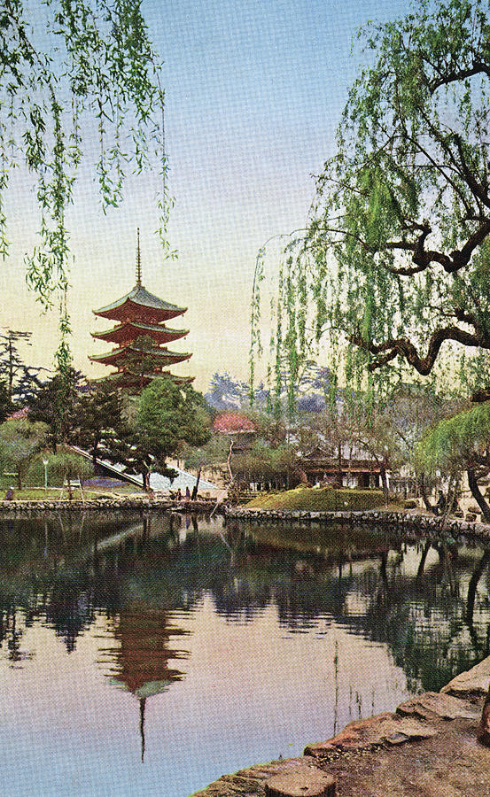 Kofukuji Pagoda Photograph by Spencer Arnold Collection