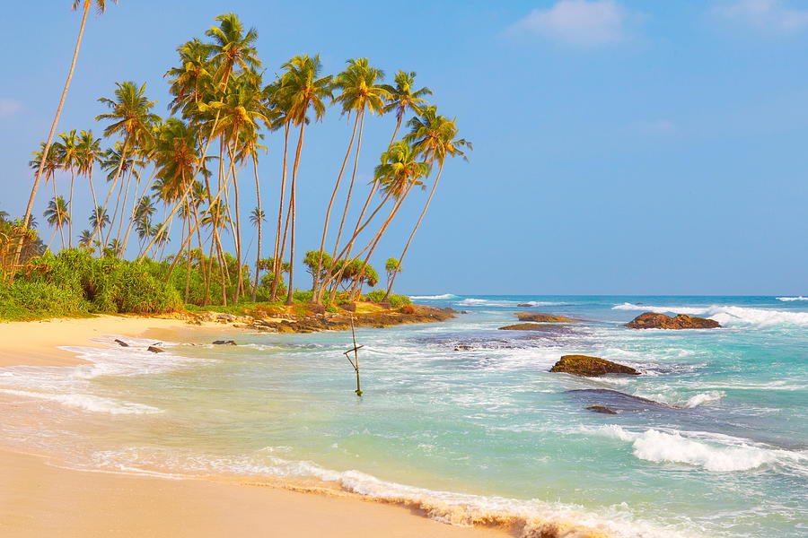Summer Photograph - Koggala Palms Beach, Sri Lanka, Asia by Jan Wlodarczyk