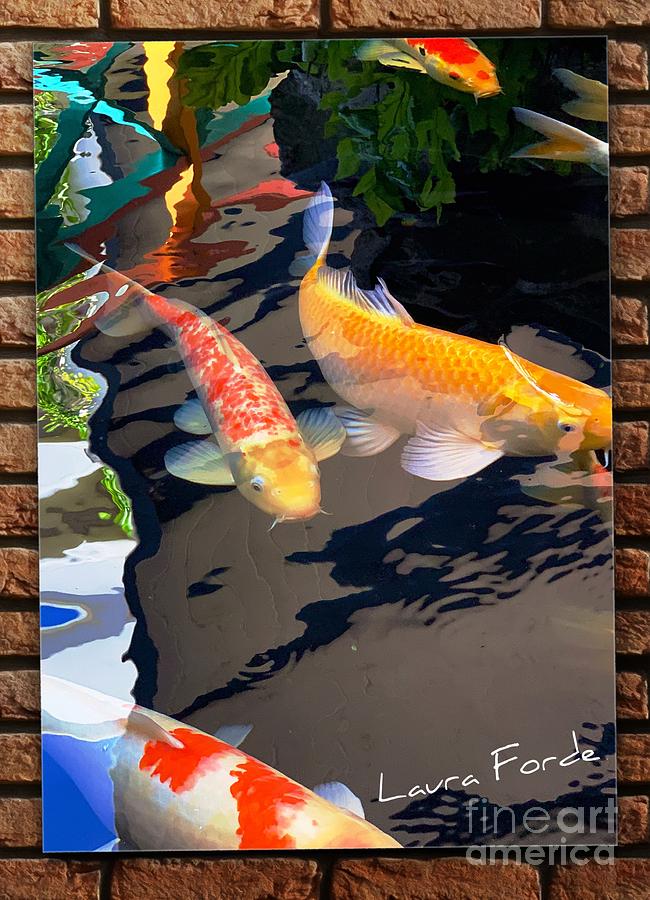 Koi fishes Photograph by Laura Forde
