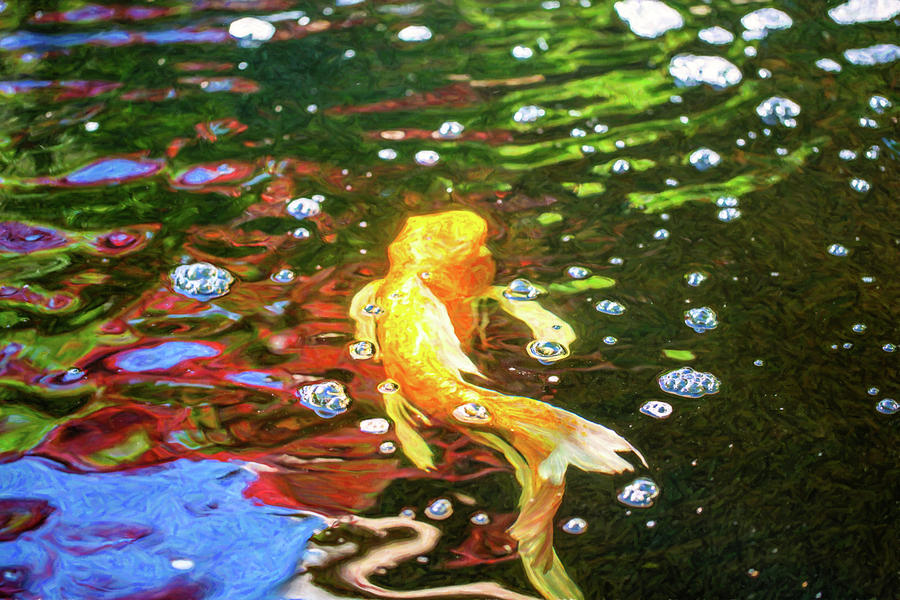 Koi Pond Fish - Colorful Surprises - by Omaste Witkowski Digital Art by Omaste Witkowski