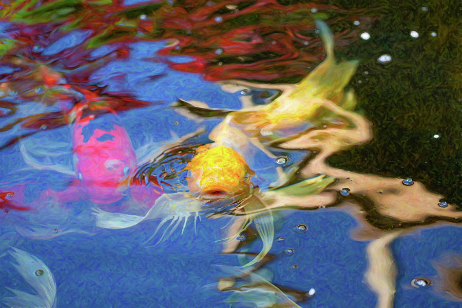 Koi Pond Fish - Friendly Enemies - by Omaste Witkowski Digital Art by Omaste Witkowski