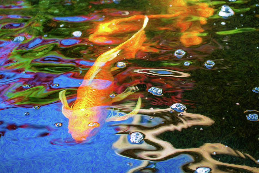 Koi Pond Fish - Golden Abstracts - By Omaste Witkowski Digital Art