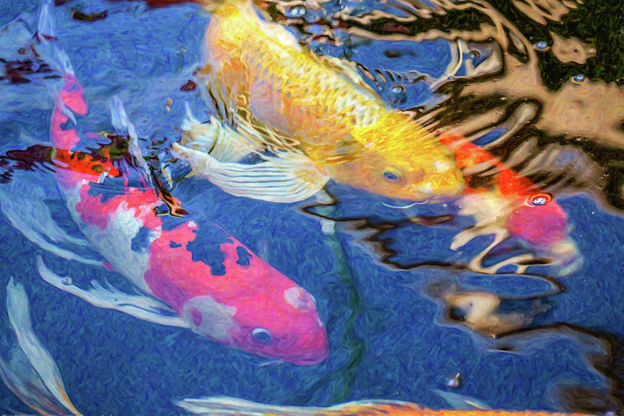 Koi Pond Fish - Making Plans - by Omaste Witkowski Digital Art by Omaste Witkowski