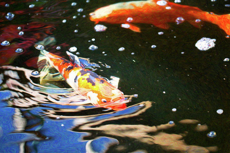 Koi Pond Fish - Making Waves - by Omaste Witkowski Digital Art by Omaste Witkowski