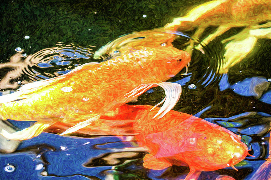 Koi Pond Fish - Passionate Fantasies - by Omaste Witkowski Digital Art by Omaste Witkowski