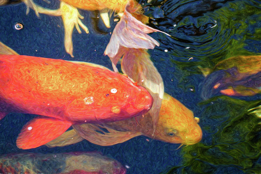 Koi Pond Fish - Pretty In Pink - By Omaste Witkowski Digital Art