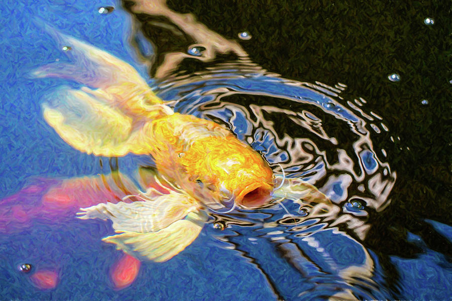 Koi Pond Fish - Pretty Pucker - by Omaste Witkowski Digital Art by Omaste Witkowski