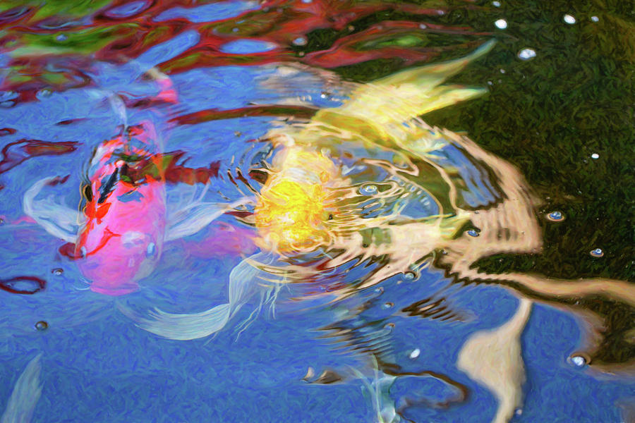 Koi Pond Fish - Swirling Emotions - by Omaste Witkowski Digital Art by Omaste Witkowski
