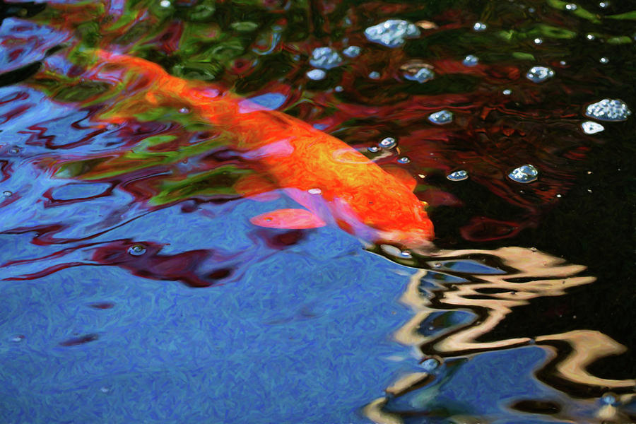 Koi Pond Fish - Vibrant Dreams - By Omaste Witkowski Digital Art