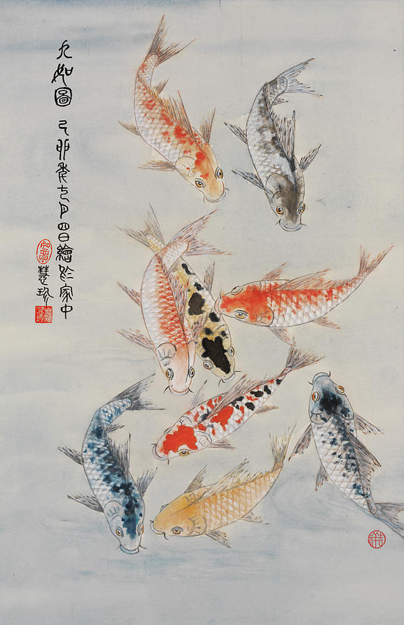 Koi Painting - Study in Koi  by Jenny Sanders