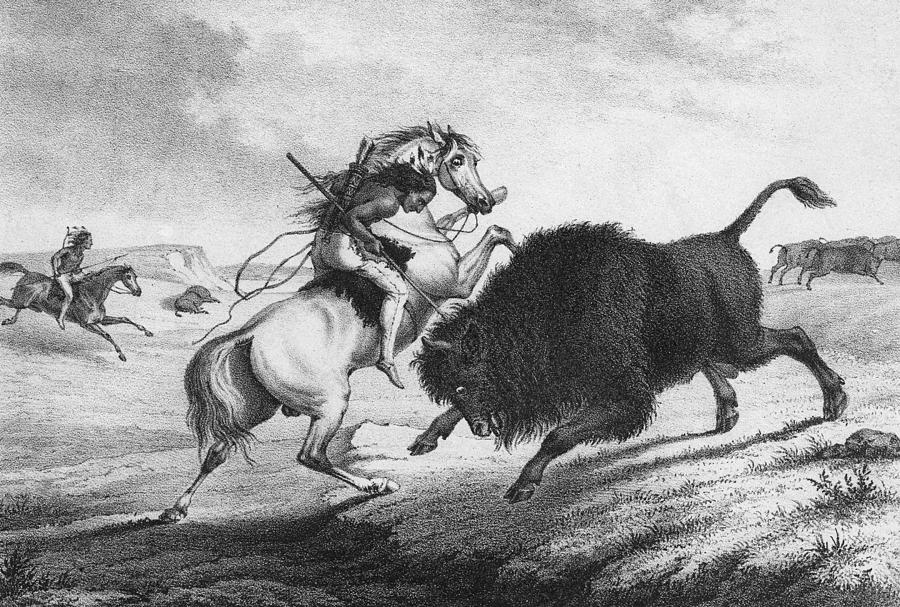 Kollner: Bison Hunt Painting by Augustus Kollner