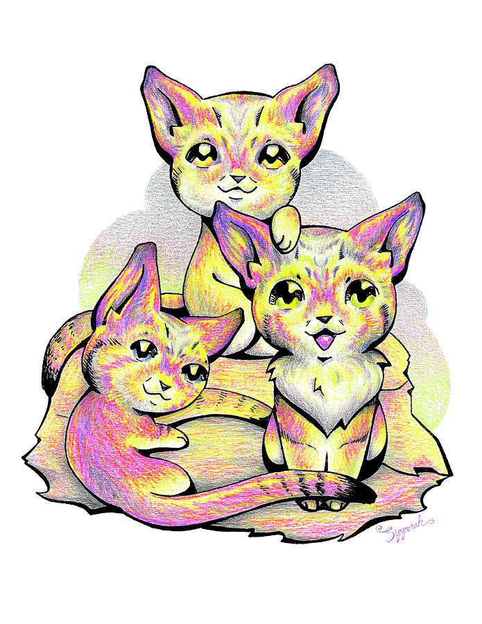 Kolorful Kitties Drawing by Sipporah Art and Illustration