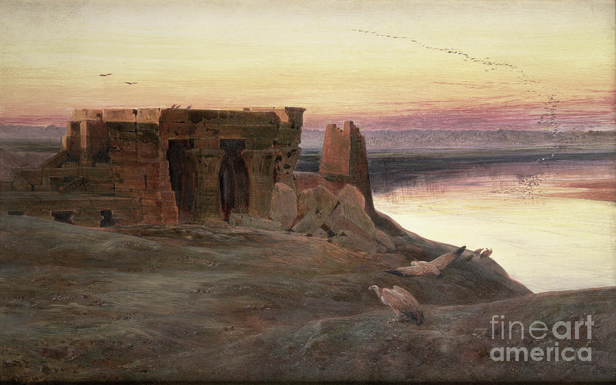 Vulture Painting - Kom Ombo Temple, Egypt by Edward Lear