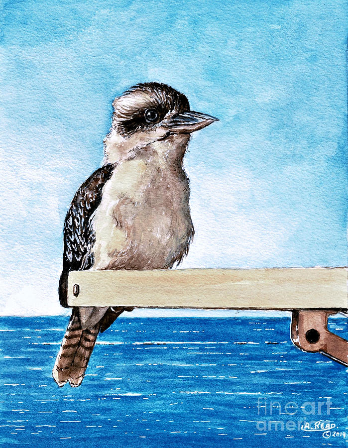 Bird Painting - Kookaburra by Andrew Read