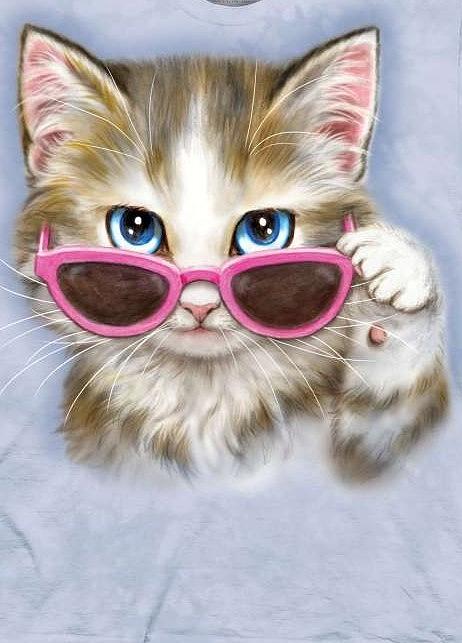 Kool Kat Digital Art by Gerard White - Fine Art America