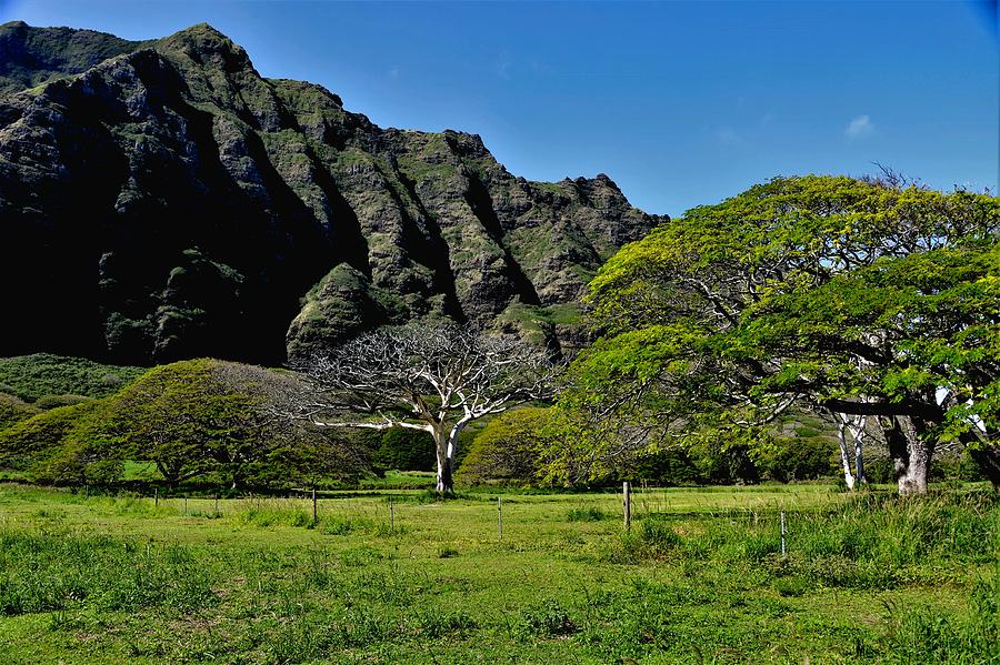 Koolau Mountains Windward Oahu Photograph by Heidi Fickinger