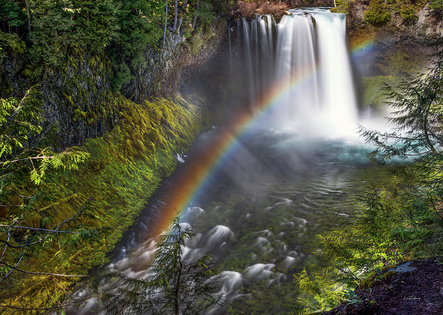Koosah Falls Rainbow Photograph by Leland D Howard